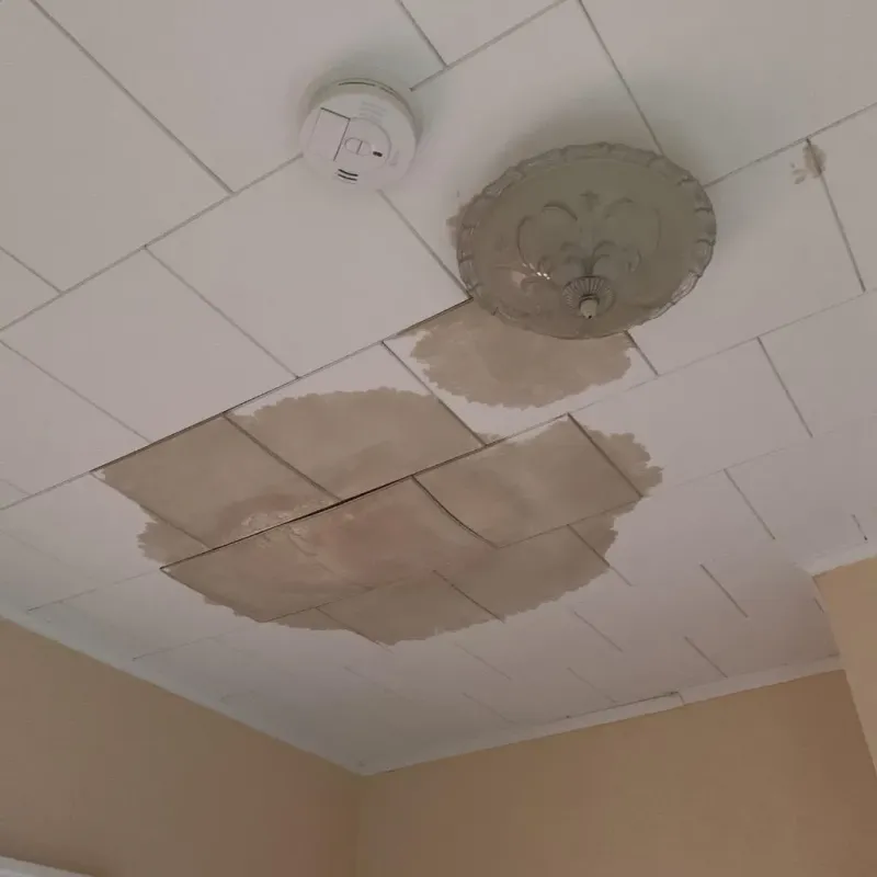 Ceiling Water Damage Repair in City of Winchester, VA
