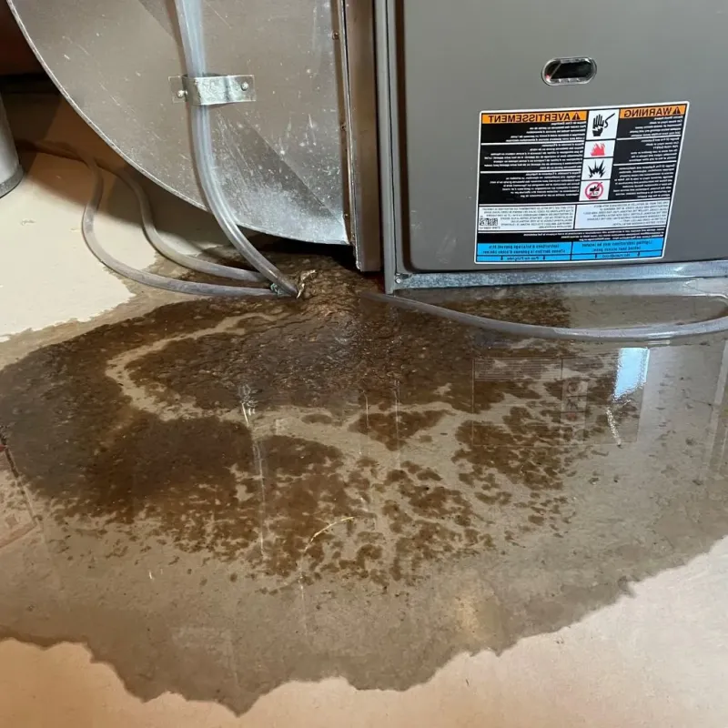 Pipe Burst and Leak Restoration in City of Winchester, VA