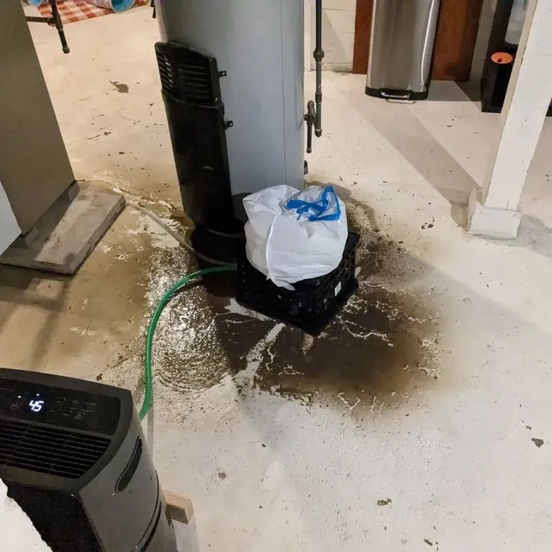 Sewage Backup Cleanup Service in City of Winchester, VA